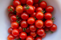 Cherry Tomatoes