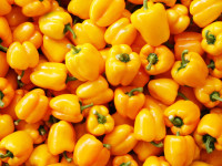 Yellow Bell Pepper